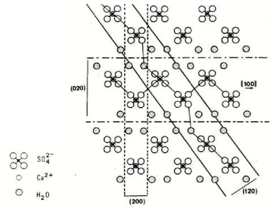 Figure II. 5: projection de la structure cristalline du gypse selon la direction (001) [Amat 86],  cité par [26]