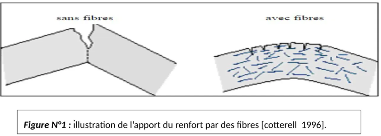 Figure N°1 : illustration de l’apport du renfort par des fibres [cotterell  1996].