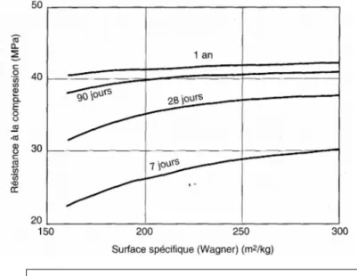 Figure N°07:influence de la surface spécifique sur la  résistance à la compression 