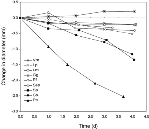 Figure 6. Change in trunk section diameter in the climatic chamber at 40% of relative air humidity