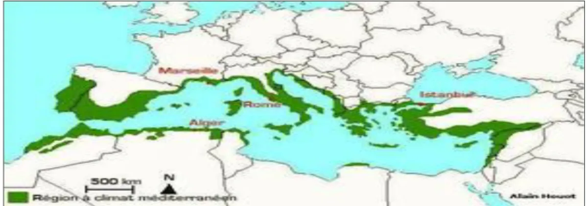 Fig I.2: la répartition géographique de lentisque sur la mer méditerranéenne  I.5.5 Vertus   thérapeutique de lentisque [6]  