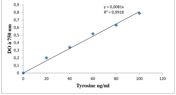 Figure 12 : Courbe d’étalonnage DO= f [Tyr] pour l’activité protéolytique. 