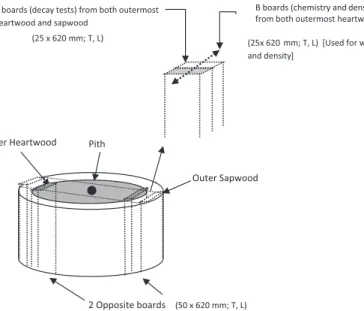Fig 1. Diagram illustrating the test specimens used for wood decay resistance, wood extractive content and wood density