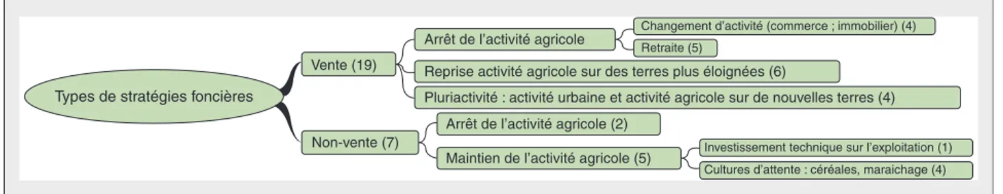 Figure 4. Stratégies foncières des attributaires de la coopérative de Naïji.
