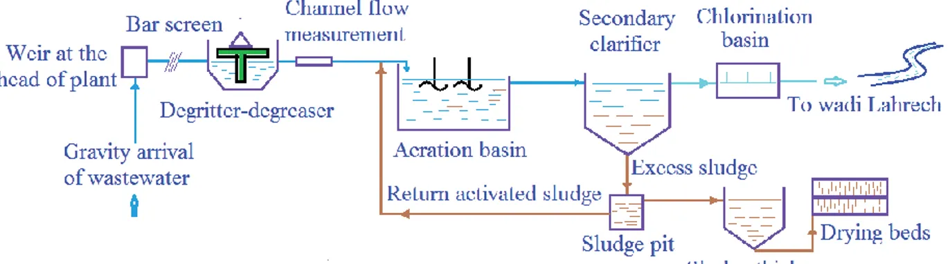 Fig. 1. Schematic representation of the WWTP of Medea. 