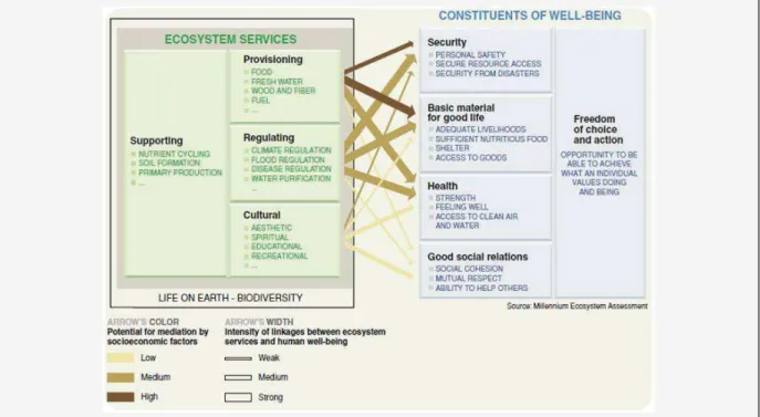 Figure 2 : Représentation des services écosystémiques proposé par le Millenium Ecosystem Assessment (2005) 