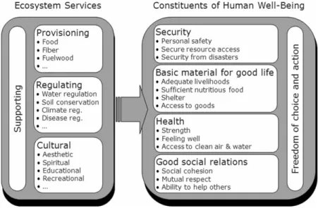 FIGURE 1 Examples of ecosystem services and their links to human well-being
