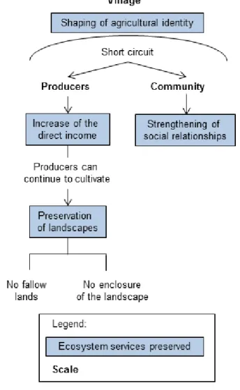 Fig. 3. Villeveyrac’s systemic vision of agriculture. This diagram illustrates how “short-circuited” agriculture in Villeveyrac impacts producers, the community, and the village as a whole.