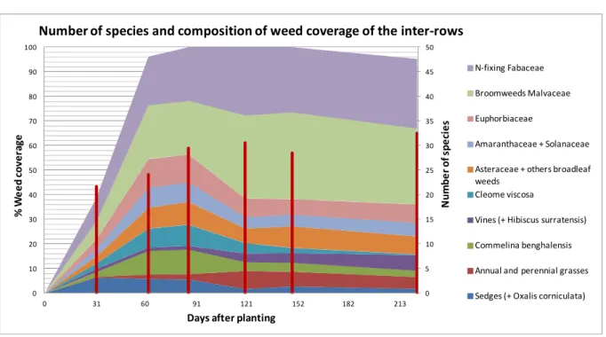 Figure 1:  Inter-row weed coverage (%) and number of species (red bars) of treatment plots before  their weeding at 1, 2, 3 and 4 months plus control plots
