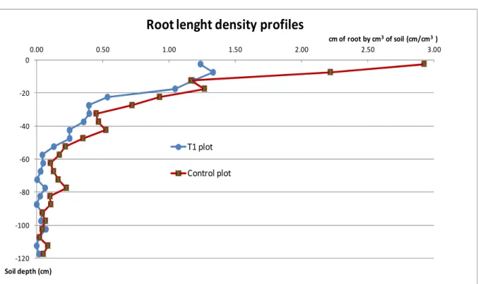 Figure 3:  Profiles of root lenght density (RLD) expressed as cm of roots by cm3 of soil, in a couple of  adjacent plots belonging to T1 treatment (weeded sugarcane in the intra-rows plus weeded  inter-rows) and the control treatment (weeded sugarcane in t