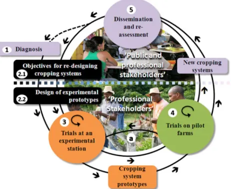 Fig. 3 The DISCS method.