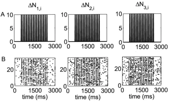 Figure 3-1.  Standard  raster  plots  of the  simulated  spiking  activity  of each  neuron  in  a  triplet  in response  to a  periodic  whisker  deflection  of velocity  v  =  50  mm/s