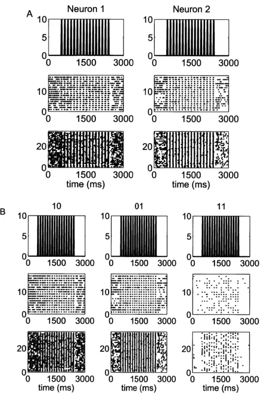 Figure  5-2.  Raster  plots  of  the  spiking  activity  of a representative  pair  of  neurons  in  response  to a  periodic  whisker  deflection  of velocity  v  =  50  mm/s
