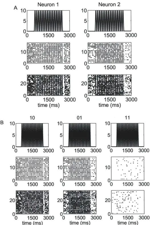 Figure  5-3.  Raster  plots  of the  spiking  activity  of a  representative  pair  of neurons  in  response  to a  periodic  whisker  deflection  of velocity  v  =  16  mm/s