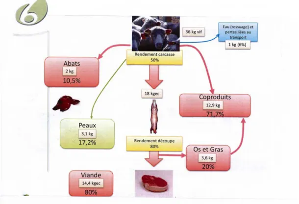 Figure 1 : Rendement en carcasse et en découpe, poids de viande, d’os et de gras, d’abats et de co-produits,  ainsi que de peau, pour un agneau de 36 kg à l’abattage (source France AgriMer, 2013) 