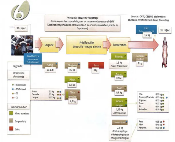 Figure 2 : Principales étapes de l’abattage, poids moyen et destination des différents types de produits issus de  l’abattage d’un agneau (source France AgriMer, 2013) 