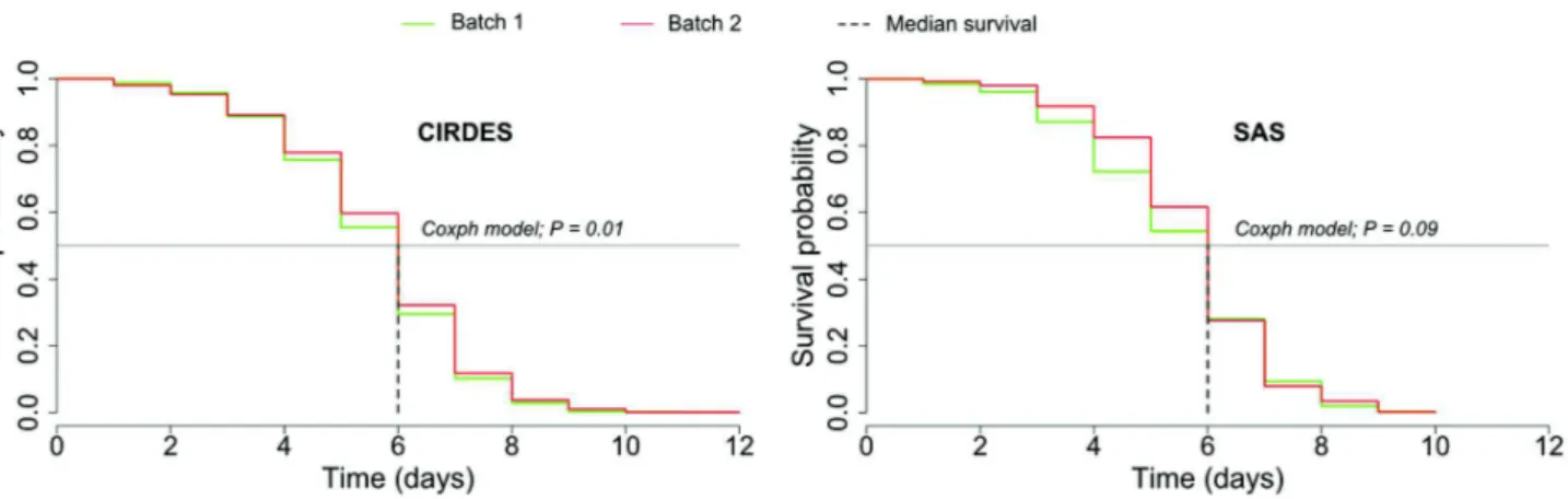 Fig 3. Survival curves of sterile males that were kept without food and had to survive on their fat reserves