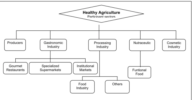 Figure 1. Healthy agriculture participant sectors. 