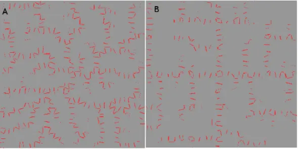 Figure 14. Demonstration that available flux alone accounts for PIN generation. The centre cell is due to be the next cell in a growing vein, represented by the perfect sink at the bottom with the strong PIN expression