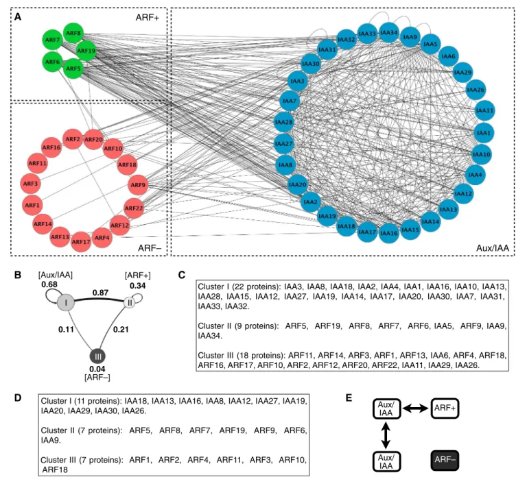 Figure 2 Spatial regulation of Aux/IAA-ARF signalling in the inflorescence. (A–D). Expression patterns of TIR1/AFB F-box co-receptors