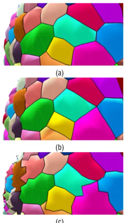 Figure 7: One mesh triangle and the length derivatives used to compute the local energy gradient at point P .
