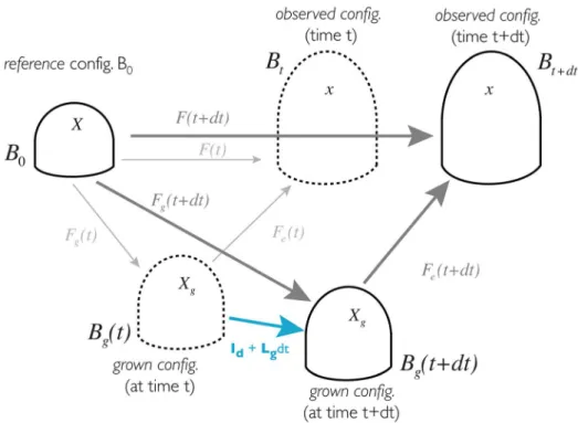 Fig. 7. Schematic representation of the different configurations at different time and the deformations between them.