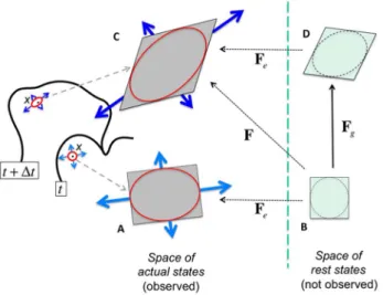 Fig. 3. Formalization of plastic growth of a small region of wall.