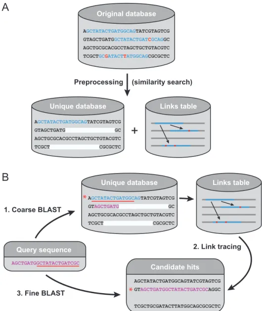 Figure 1.2. The CaBLAST algorithm. (A) Preprocessing: Scan through the genomic database, eliminating redundancy by identifying regions of high similarity and encoding them as links to previously seen sequences