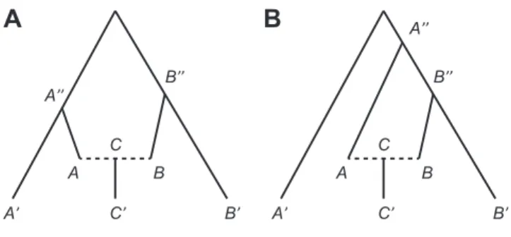 Figure 2.1. Notational diagram of phylogeny containing admixed population and references