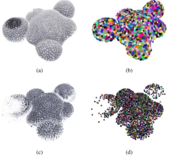 Figure 1. 3-d Confocal microscopy images of shoot apical meris- meris-tems : SAM imaged with membrane marker (a) and its resulting seeded watershed segmented image [11] (b), SAM imaged with nuclei marker (c) and its resulting detected nuclei points (d)