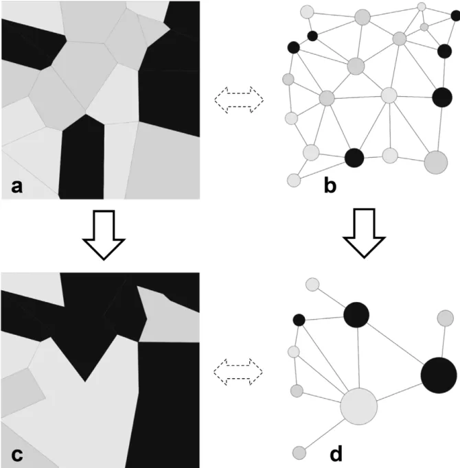 Figure 1. A patchy landscape sequence with its changing topology. A simple patchy landscape viewed by its patch mosaic (a) and its topological graph (b) at time step t, and at time step t + 1 (c and d)
