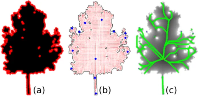 Fig. 2. Cornea et al. original method. (a) shape B with contours pixels ∈ Ω represented in red