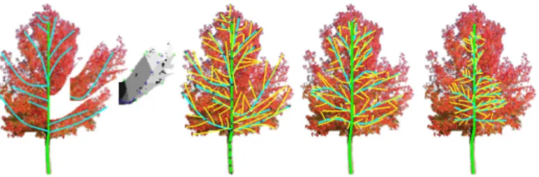 Fig. 5. On the left, first order branches and on the second image, second order branches.