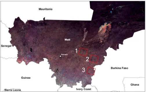 Figure 2: The three study sites in Mali (a color composite MODIS image) - 1: Cinzana, 2: Koutiala ; 3: Sikasso