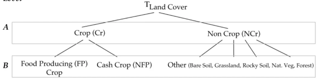 Figure 3: Crop hierarchy: The hierarchical organization of the classes to predict. Level A contains only two classes: Crop, Non Crop while level B refines the previous set of classes adding a specialization (Food Producing Crop, Cash Crop) of the Crop clas