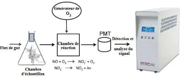 Figure 14 Détection de NO par chemiluminescence d'après (Mur et al., 2011), PMT: tube photomultiplicateur