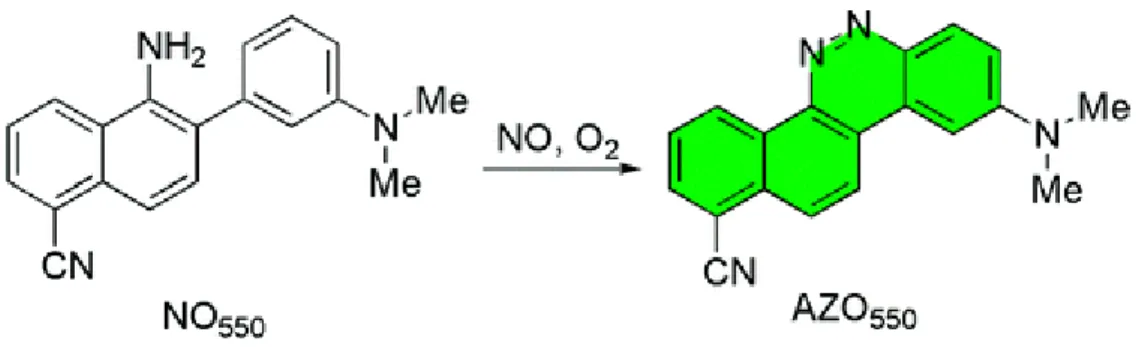 Figure 18 Réaction entre le NO et la sonde NO550 pour donner le composé fluorescent AZO550