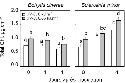 Figure  4.4. Evolution de la teneur en chlorophylle totale dans des feuilles de Laitue  Romaine exposées ou non aux UV-C puis inoculées par BC87 et SM