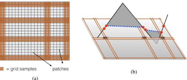 Figure 2-6: (a) Illustration of a grid sample set, along with 6 non-sampled patches in white.
