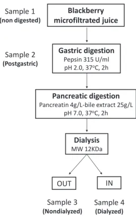 Figure 2.2 In vitro gastrointestinal digestion model used for the blackberry juice Blackberry microfiltrated juiceGastric digestionPepsin 315 U/mlpH 2.0, 37oC, 2hSample 1(non digested)Sample 3(Nondialyzed)DialysisMW 12KDaSample 2(Postgastric)Sample 4 (Dial