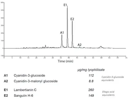 Figure 3.1 HPLC chromatogram of the blackberry polyphenol extract.  
