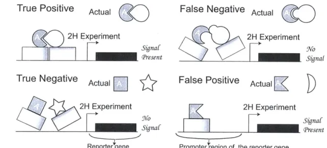 Figure  4-1:  The  origin  of systematic  errors in the  mechanism  of  YTH  experiments