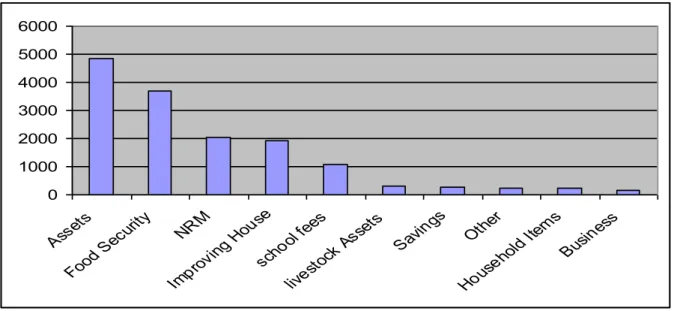 Figure 1: Household Investments 2  from Linkages to Markets 