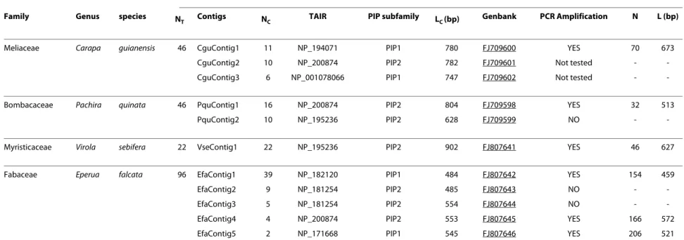 Table 1: Detailed results of isolation of PIPs gene fragments