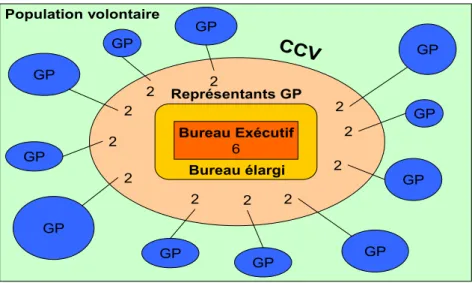 Figure 2 : Schéma d’organisation d’un CCV  3.1.3.  Etat actuel et cadre éthique des CCV 