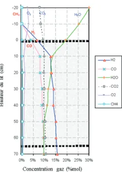 Figure 4 : Profil axial  de température  Figure 5 : Profil axial de composition des gaz 