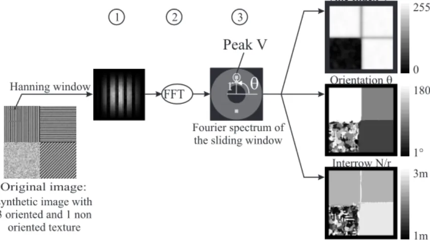 Figure 7. Vineyard detection using Fourier Transform (FT). 1) Use of a Hanning sliding window of size N × N