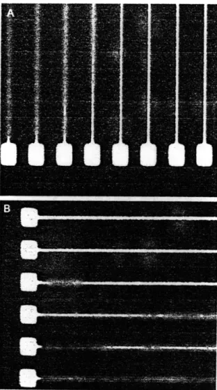 Figure  3-7a  shows  the  results  based  on  a 50pA  current  and  a starting  pixel  frequency  of 240kHz