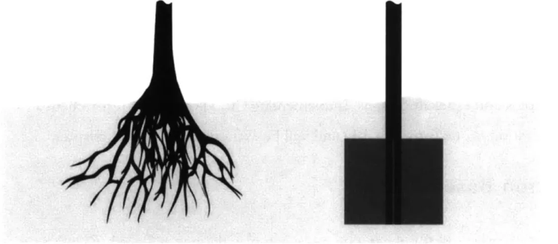 Figure  5:  Natural root  system  compared  to engineering  run  and  shaft design.
