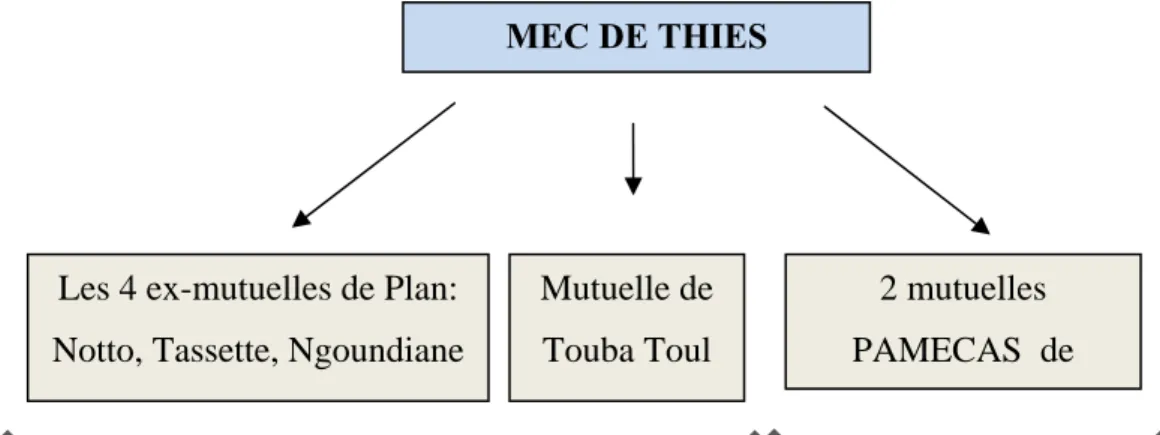 Figure 7. Organisation de la centralisation 